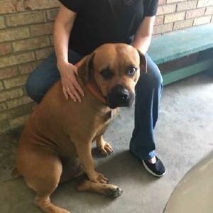 Meet your Posher, Jeannie